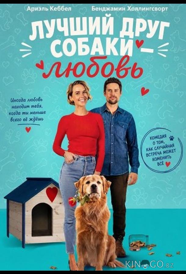 Лучший друг собаки — любовь 